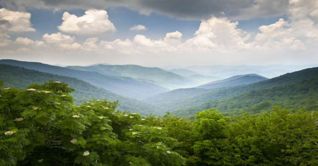 Blue Ridge Parkway Scenic Mountains Overlook Summer Landscape Asheville NC at Craggy Gardens in WNC